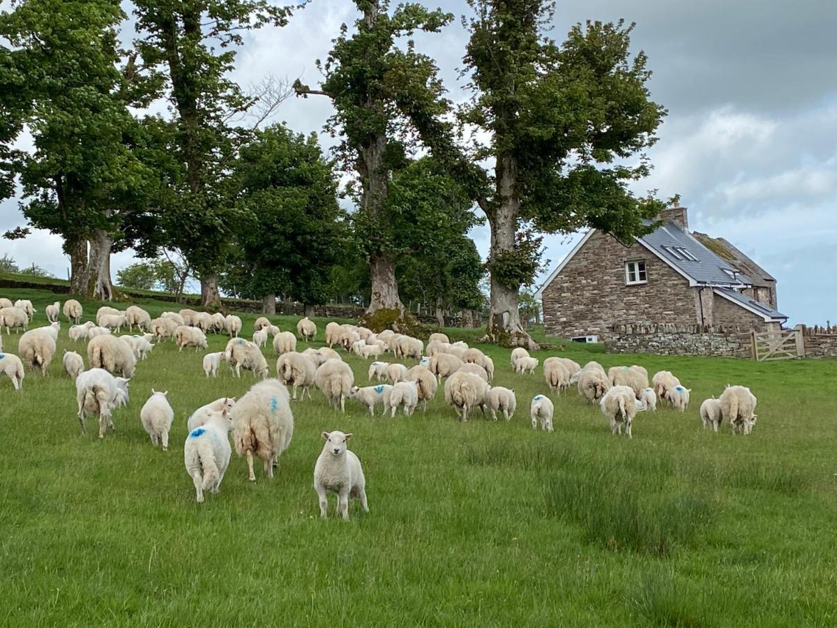 Pant Llwyd Farm Vila Llangynidr Exterior foto